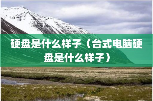 硬盘是什么样子（台式电脑硬盘是什么样子）