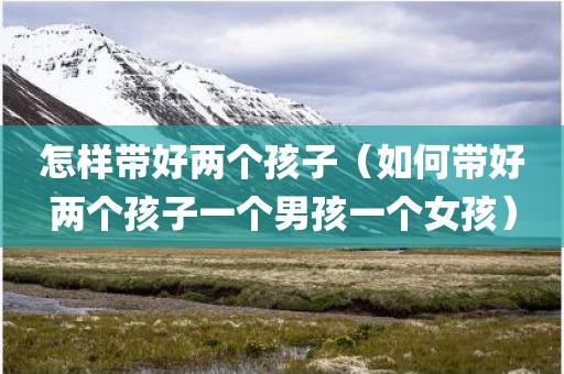 怎样带好两个孩子（如何带好两个孩子一个男孩一个女孩）