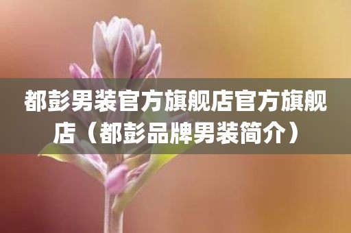 都彭男装官方旗舰店官方旗舰店（都彭品牌男装简介）