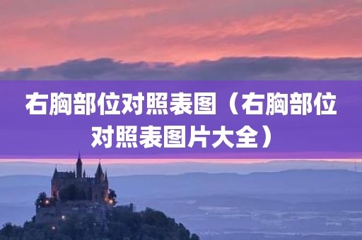 右胸部位对照表图（右胸部位对照表图片大全）
