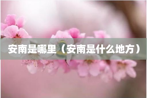 安南是哪里(安南是什么地方) 安南是哪里(安南是什么地方)