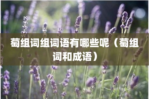 萄组词组词语有哪些呢（萄组词和成语）