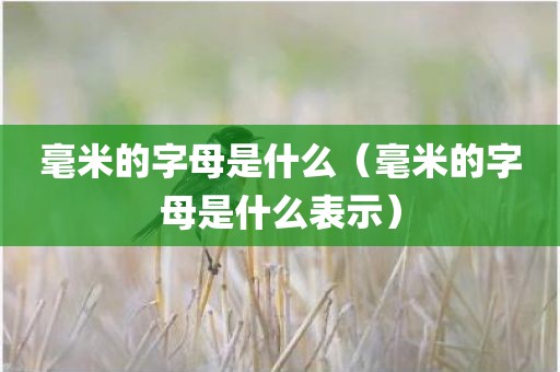 毫米的字母是什么（毫米的字母是什么表示）