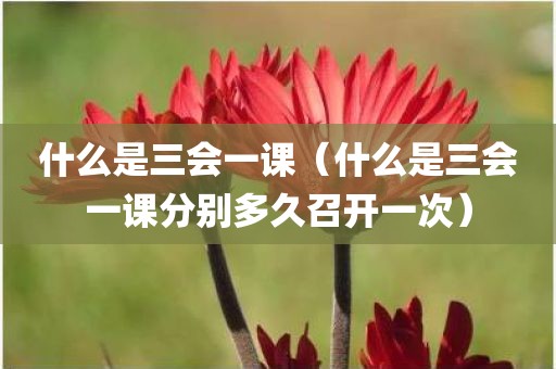 什么是三会一课（什么是三会一课分别多久召开一次）
