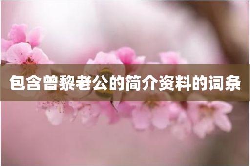 包含曾黎老公的简介资料的词条