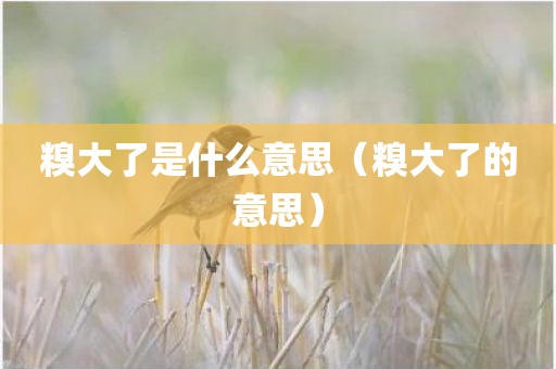 糗大了是什么意思（糗大了的意思）