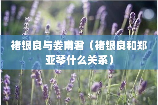 褚银良与娄甫君（褚银良和郑亚琴什么关系）