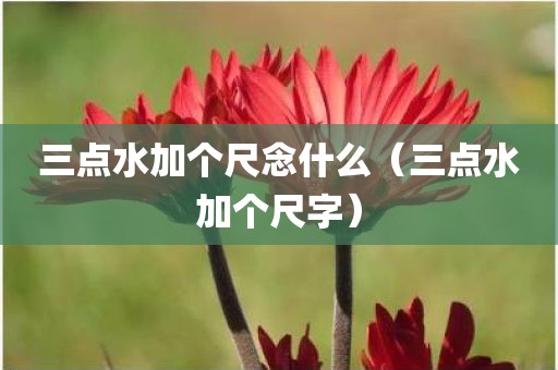 三点水加个尺念什么（三点水加个尺字）