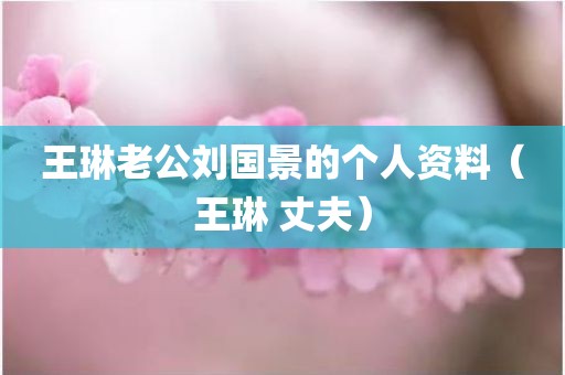 王琳老公刘国景的个人资料（王琳 丈夫）
