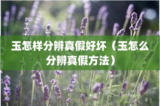 玉怎样分辨真假好坏（玉怎么分辨真假方法）