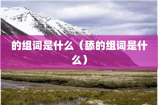 的组词是什么（舔的组词是什么）