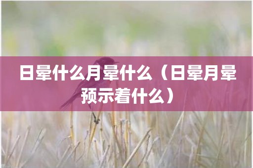 日晕什么月晕什么（日晕月晕预示着什么）