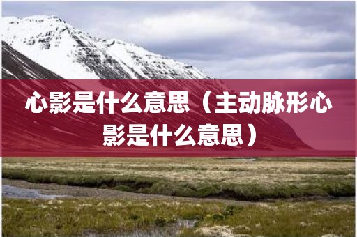 心影是什么意思（主动脉形心影是什么意思）