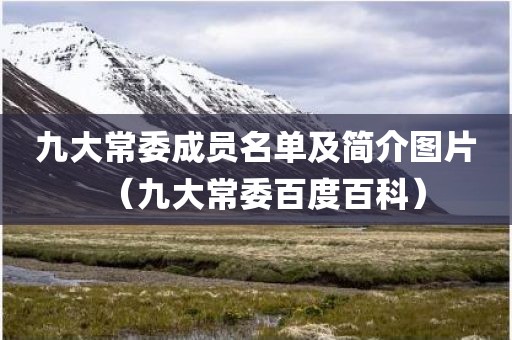 九大常委成员名单及简介图片（九大常委百度百科）