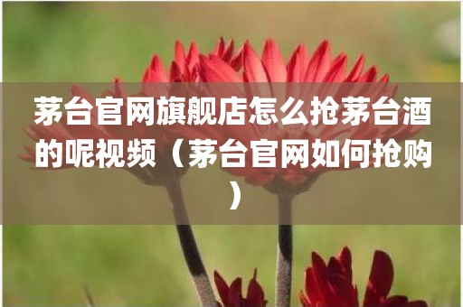 茅台官网旗舰店怎么抢茅台酒的呢视频（茅台官网如何抢购）