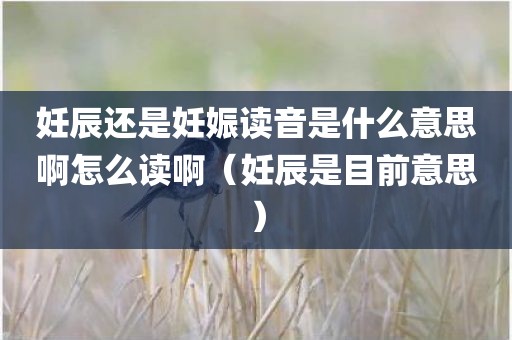 妊辰还是妊娠读音是什么意思啊怎么读啊（妊辰是目前意思）