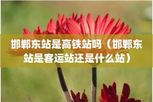 邯郸东站是高铁站吗（邯郸东站是客运站还是什么站）