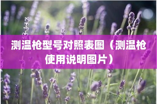 测温枪型号对照表图（测温枪使用说明图片）