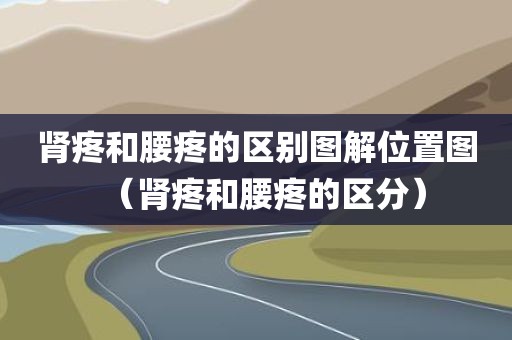 肾疼和腰疼的区别图解位置图（肾疼和腰疼的区分）