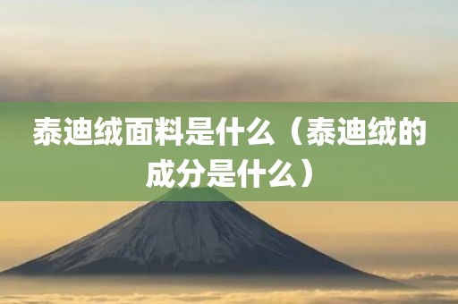 泰迪绒面料是什么（泰迪绒的成分是什么）