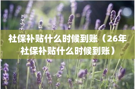 社保补贴什么时候到账（26年社保补贴什么时候到账）