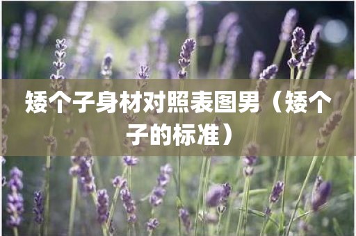 矮个子身材对照表图男(矮个子的标准)