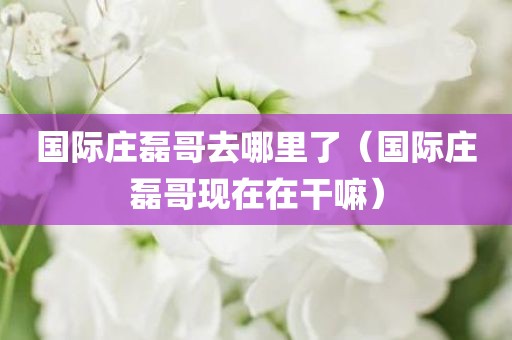 国际庄磊哥去哪里了（国际庄磊哥现在在干嘛）