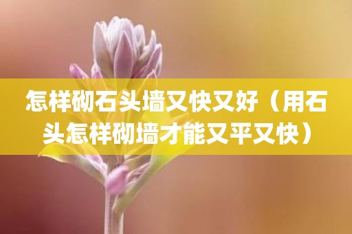 怎样砌石头墙又快又好（用石头怎样砌墙才能又平又快）