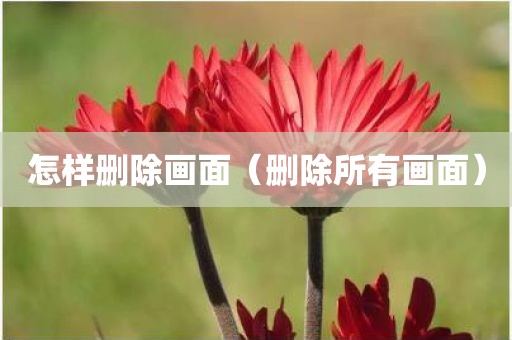 怎样删除画面（删除所有画面）