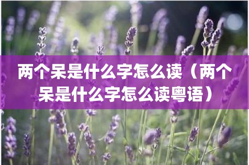 两个呆是什么字怎么读（两个呆是什么字怎么读粤语）