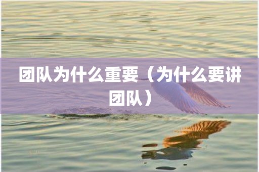 团队为什么重要(为什么要讲团队)
