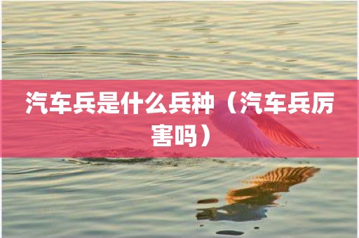 汽车兵是什么兵种(汽车兵厉害吗)