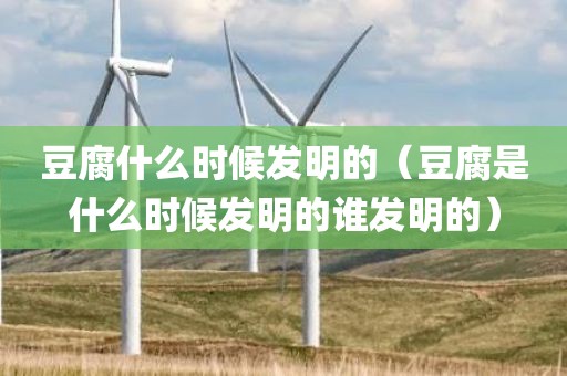 豆腐什么时候发明的（豆腐是什么时候发明的谁发明的）