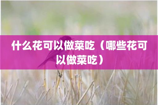 什么花可以做菜吃(哪些花可以做菜吃)