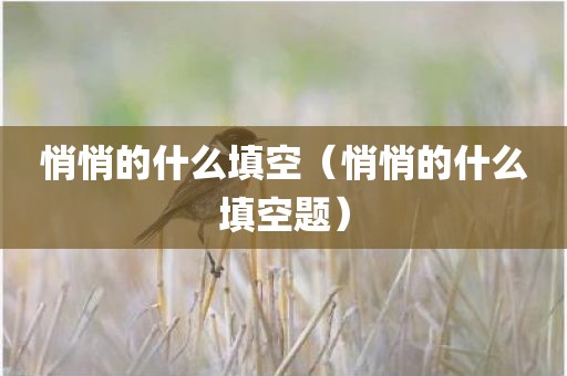 悄悄的什么填空（悄悄的什么填空题）
