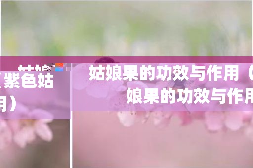 姑娘果的功效与作用（紫色姑娘果的功效与作用）