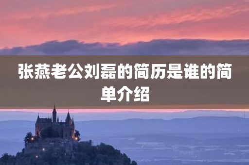 张燕老公刘磊的简历是谁的简单介绍