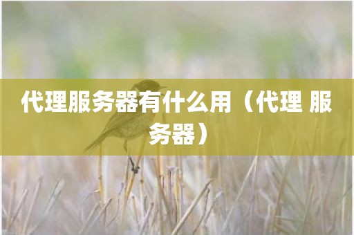 代理服务器有什么用（代理 服务器）