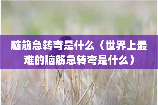 脑筋急转弯是什么（世界上最难的脑筋急转弯是什么）