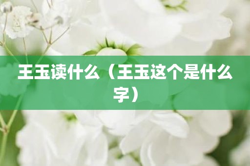 王玉读什么（王玉这个是什么字）