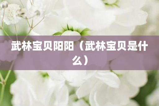 武林宝贝阳阳(武林宝贝是什么)