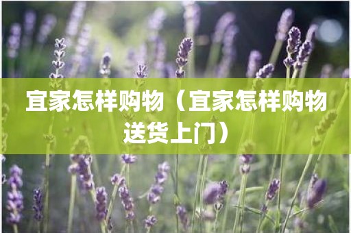 宜家怎样购物（宜家怎样购物送货上门）