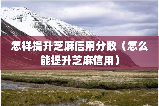 怎样提升芝麻信用分数（怎么能提升芝麻信用）