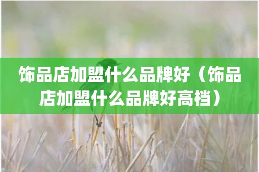 饰品店加盟什么品牌好（饰品店加盟什么品牌好高档）