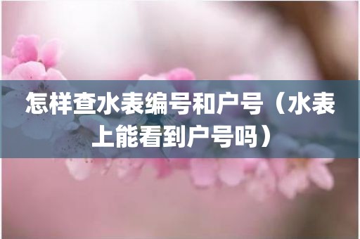 怎样查水表编号和户号（水表上能看到户号吗）