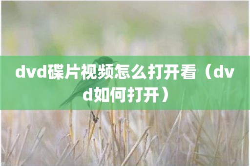 dvd碟片视频怎么打开看（dvd如何打开）