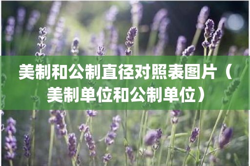 美制和公制直径对照表图片（美制单位和公制单位）