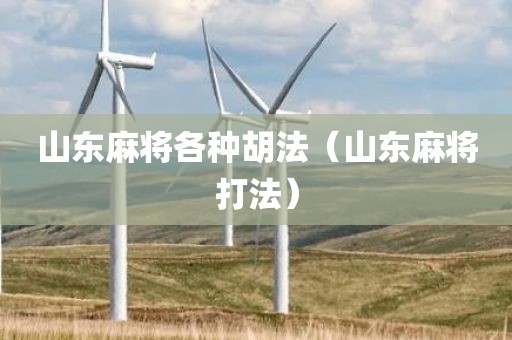 山东麻将各种胡法（山东麻将打法）