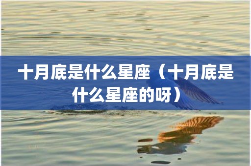 十月底是什么星座（十月底是什么星座的呀）
