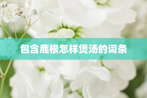 包含鹿根怎样煲汤的词条
